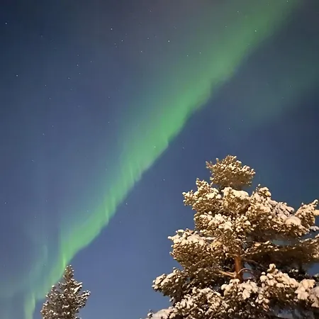 Lyngen Alps With Sauna, Northern Lights & Touring, 1h From Tromso Holiday home